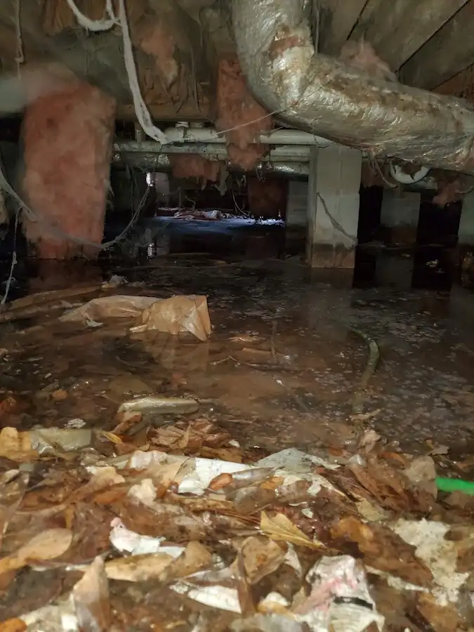 Crawl space flood assessment for Commercial Water Damage Restoration in Lake Arrowhead