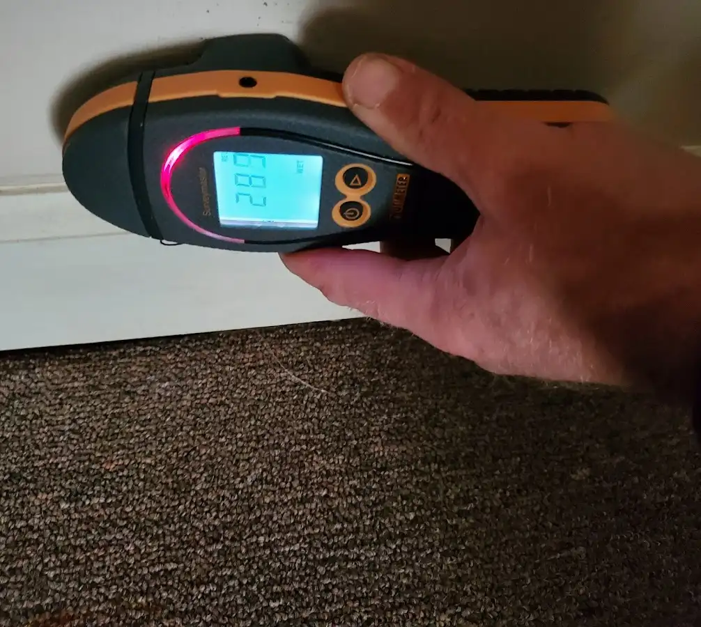 Moisture detection at baseboard during Mold Inspection & Testing in Lake Arrowhead